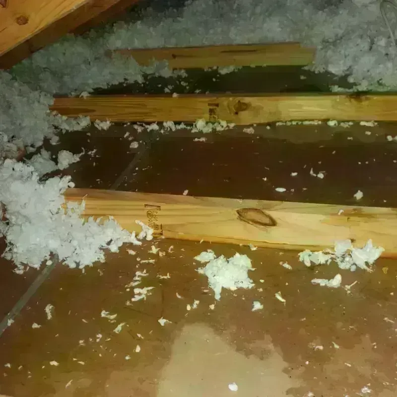 Attic Water Damage in Discovery Bay, CA