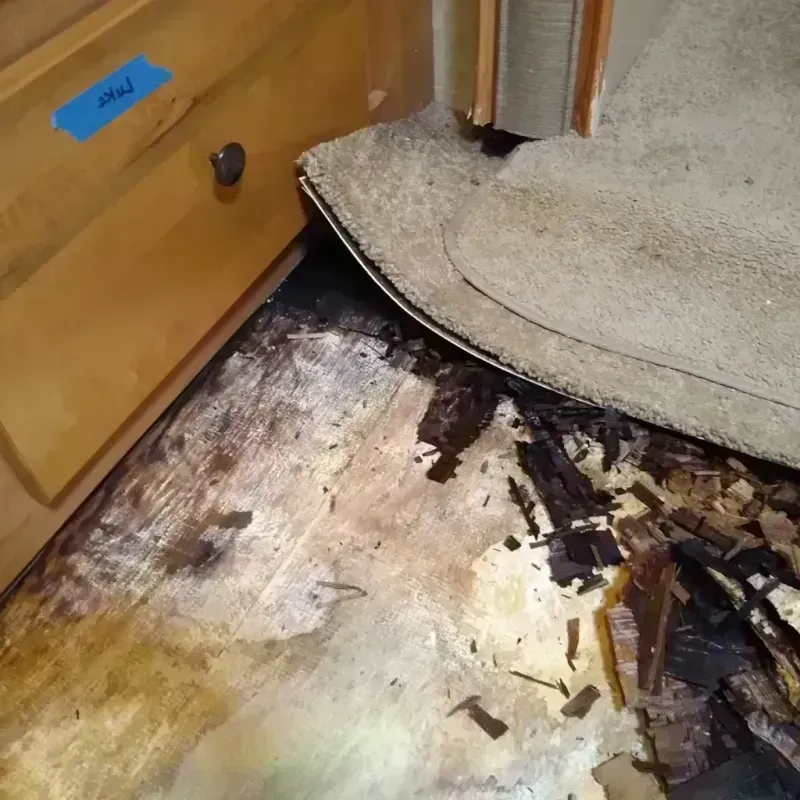 Wood Floor Water Damage in Discovery Bay, CA